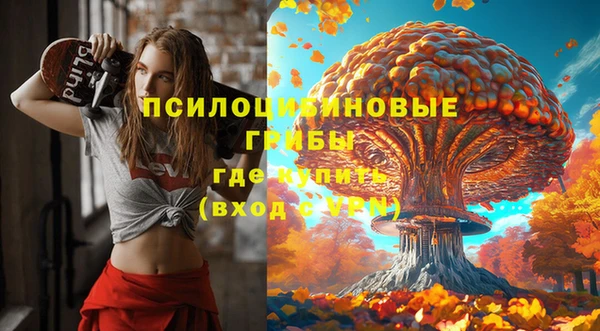 ALPHA-PVP Богданович