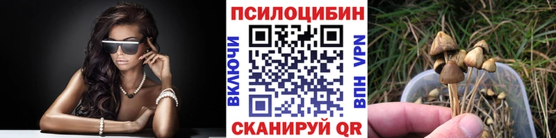 Купить закладки  Нелидово  Псилоцибиновые грибы мухоморы 